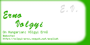 erno volgyi business card